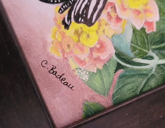 Zebra Butterfly