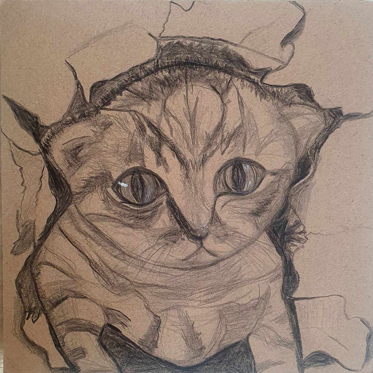 Hello Pussycat! | Cat Drawing with Pencil and Black Pencil Colour by Kumi Muttu