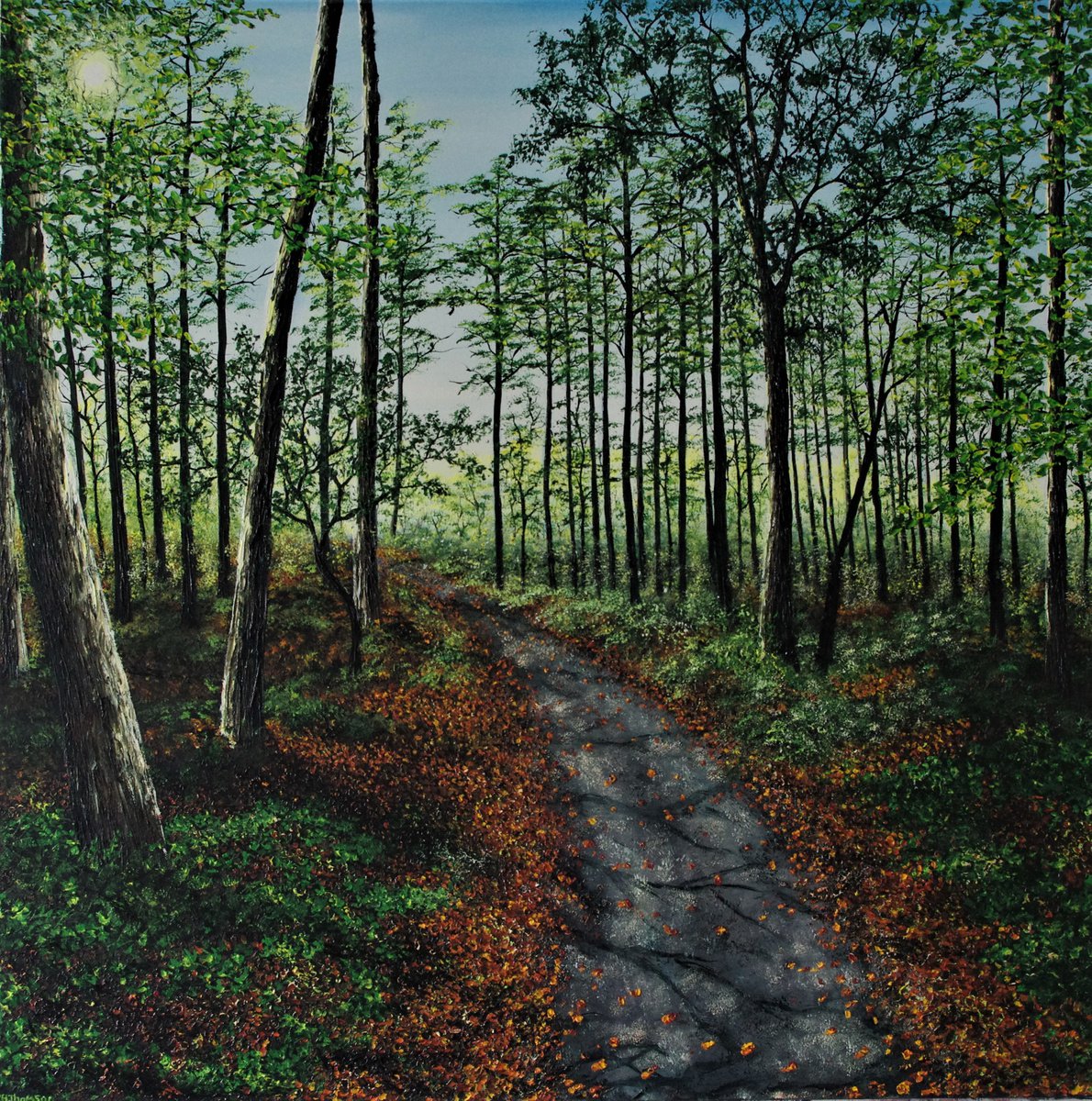 Impressionistic Landscape Oil Painting By Hazel Thomson, 39 X 39, Forest Walk., Original Artwork