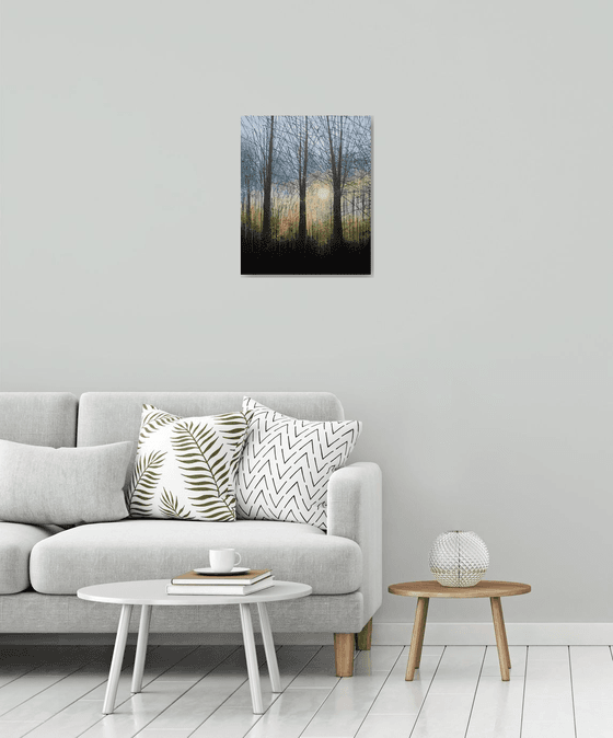 Forest Trees At Last Light