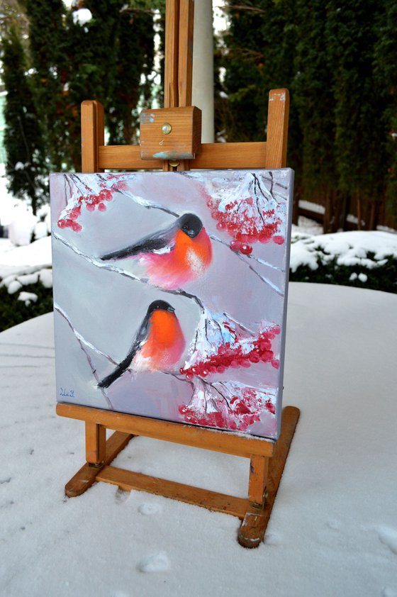 Bullfinches in winter