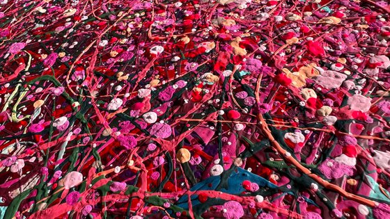 Where Petals Meet the Wind