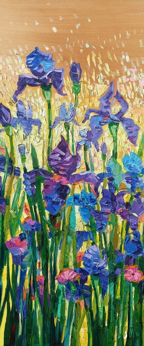 Light on the irises by Vanya Georgieva