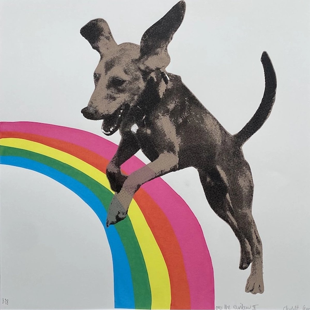 Urban And Pop Animal Screenprint By Charlotte Gerrard, 20 X 20, Over The Rainbow, Original Artwork