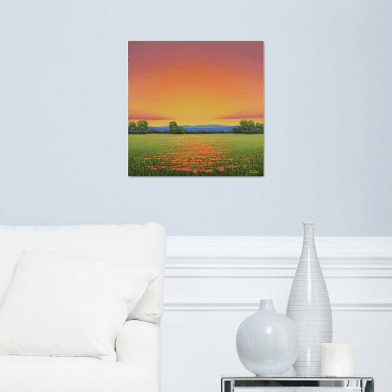 Poppy Field Sunset