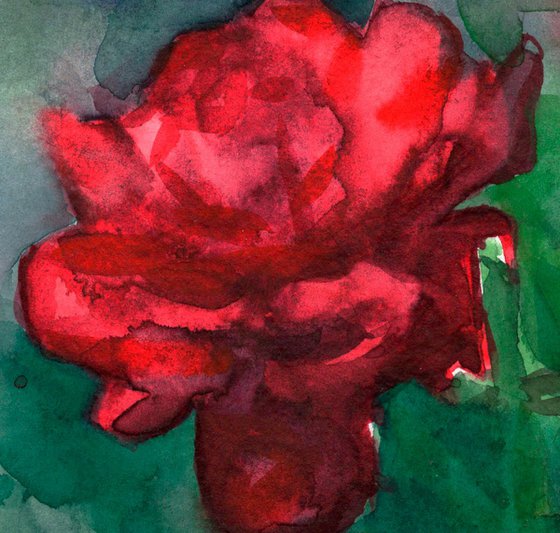 The rose