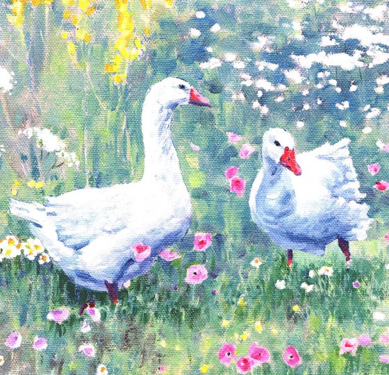 Geese in Summer Meadow