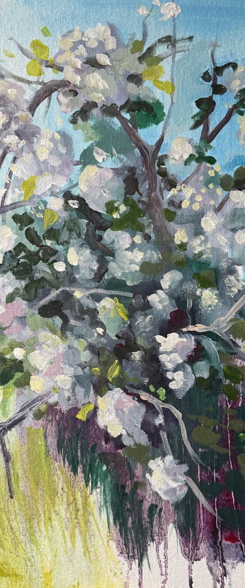 Apple orchard 7 by Ayse McGowan