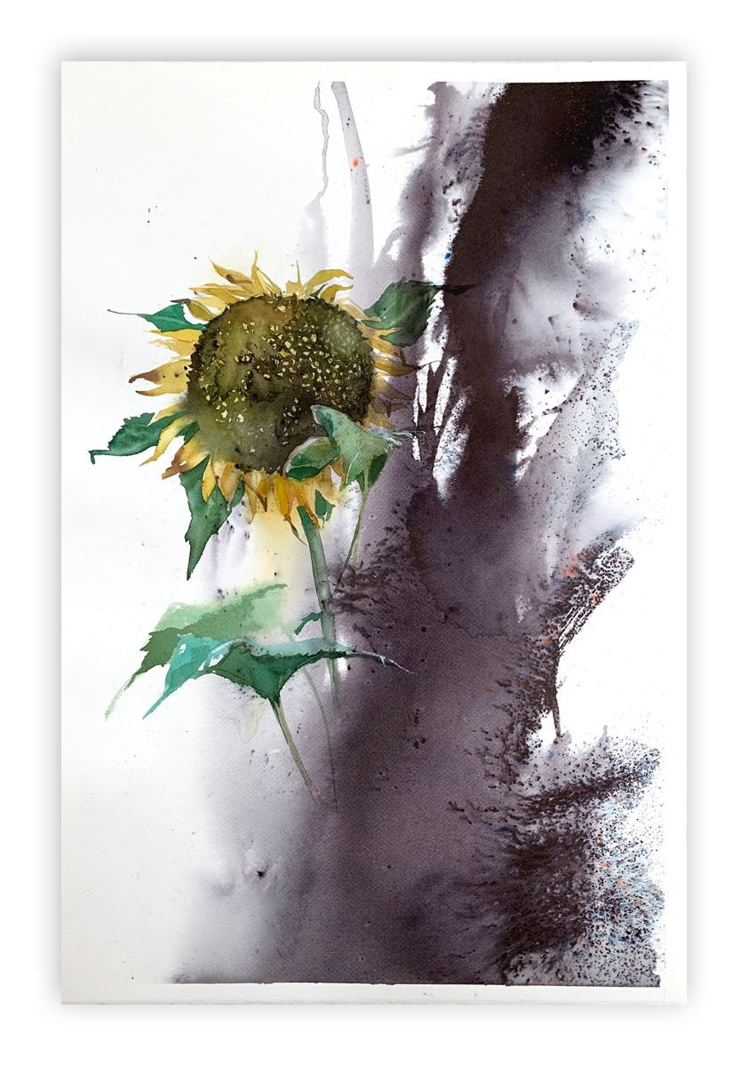 Sunflower by Tania Zubareva