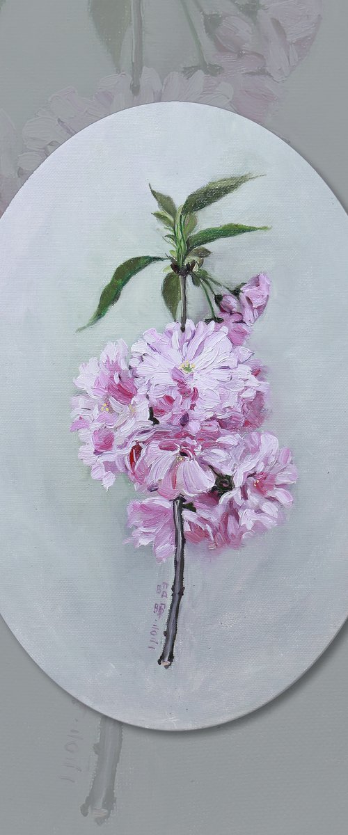 cherry blossom by Zhao Hui Yang