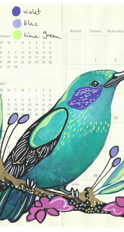 Birds of South America: Mexican Violetear Hummingbird by Fran Giffard