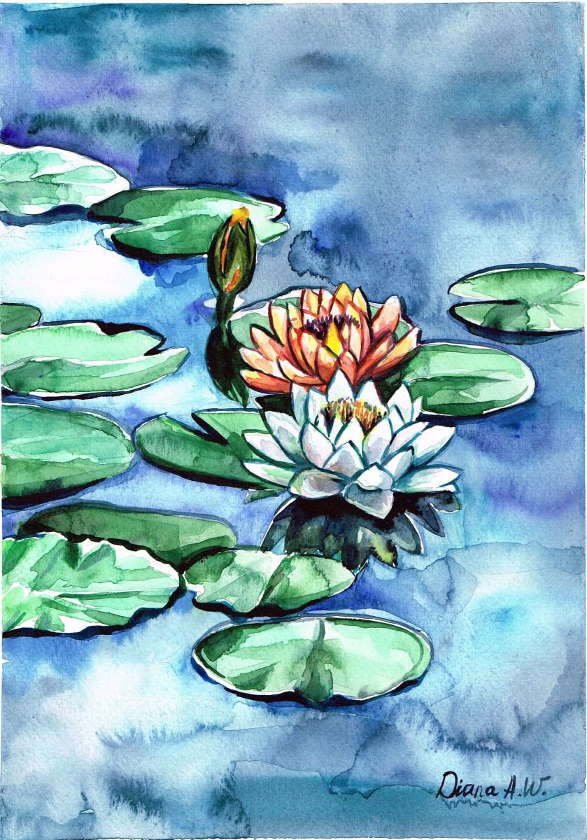 Waterlily flowers by Diana Aleksanian