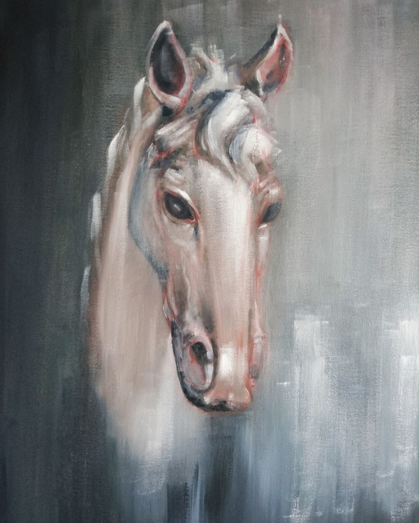 White Horse Oil Painting By Katerina Kovalova Artfinder