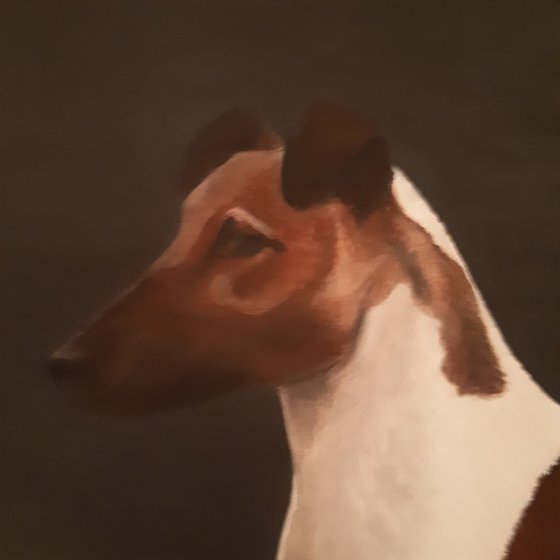 Jack Russel