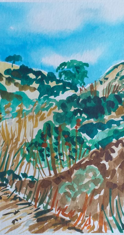 Woodland at Bahia las Rocas I by Kirsty Wain