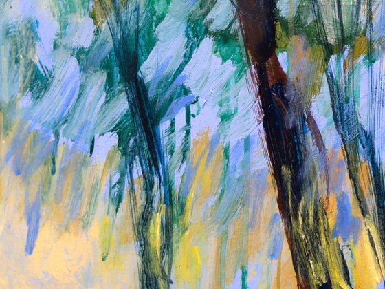 The Bluebell Forest