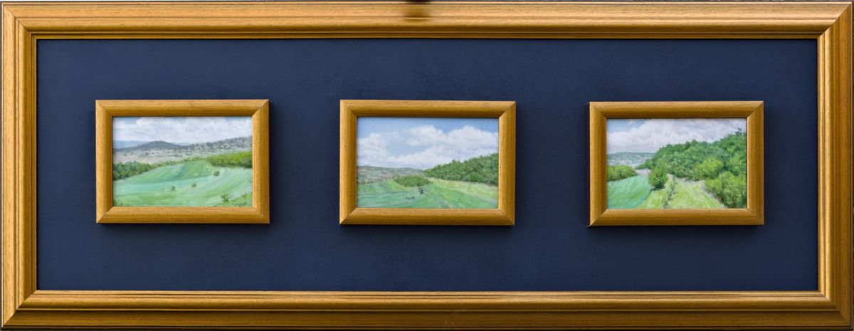 Impressionistic Landscape Oil Painting By Dejan Trajkovic, 35 X 13, Springfields - Tryptich, Original Artwork