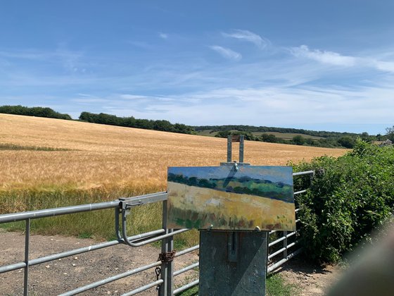 Golden Field