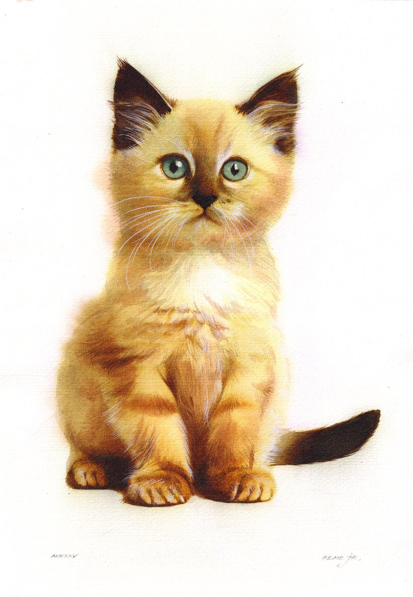 Photorealistic Animal Watercolour By Reme Jr., 10 X 14", Kitten Viii, Original Artwork