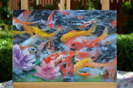 A koi paradise