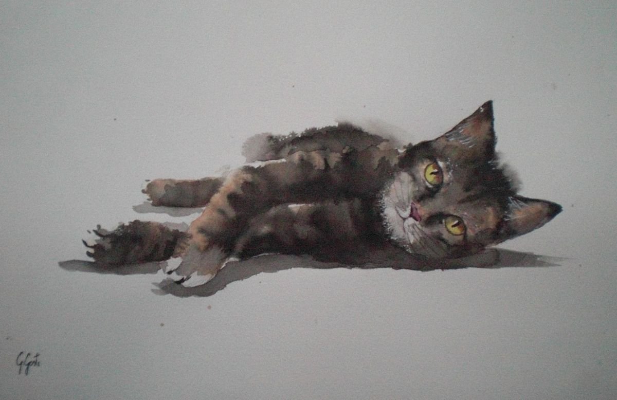 lying cat 2 by Giorgio Gosti