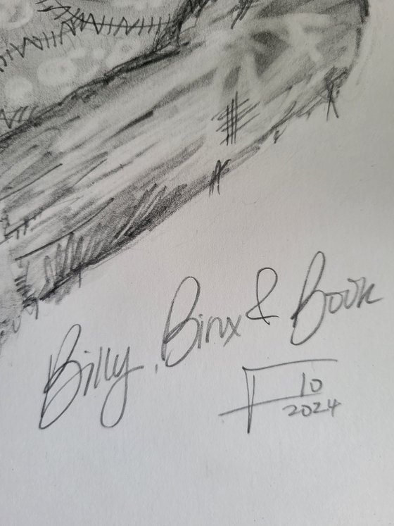 Billy, Binx & Book