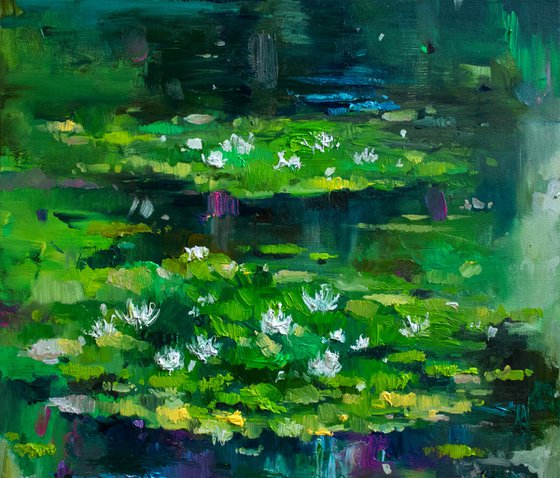 Lily pond. Summer