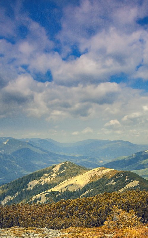 Summer in the Carpathian Mountains. by Valerix