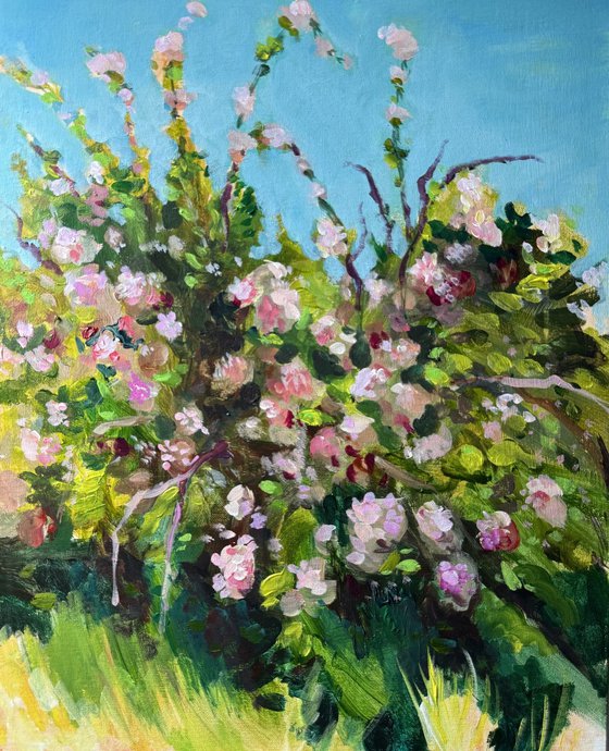 Apple Orchard 2