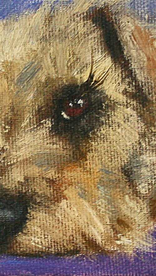 Dog 01.24 /4x5.5"  / FROM MY A SERIES OF MINI WORKS DOGS/ ORIGINAL PAINTING by Salana Art