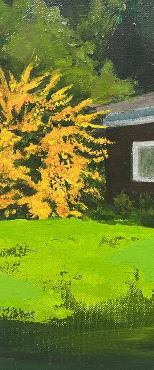 California Flannel Bush by MaryAnne McKernie