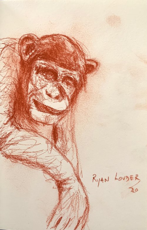 Chimpanzee Study - wildlife drawing by Ryan  Louder