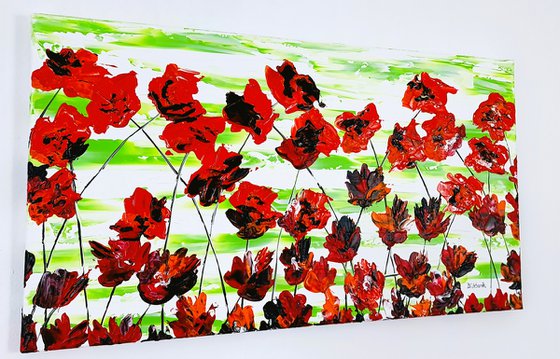 Red Poppies 1