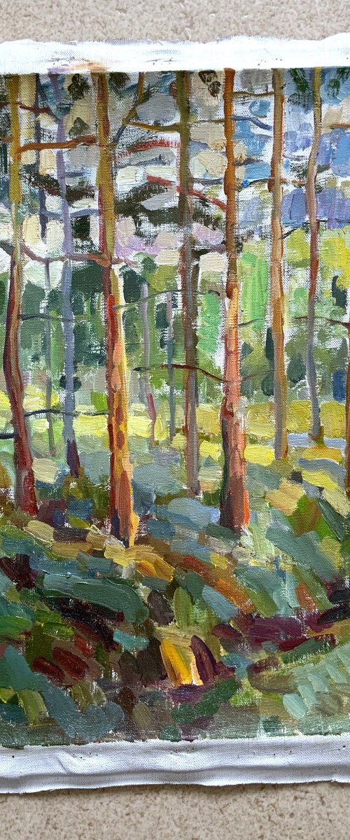 Pines in Imatra by Tanja Smirnova
