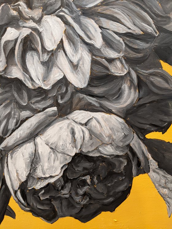 Flowers on a yellow background