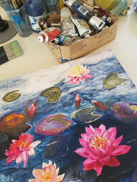 Water lilies: Like jewels on the water