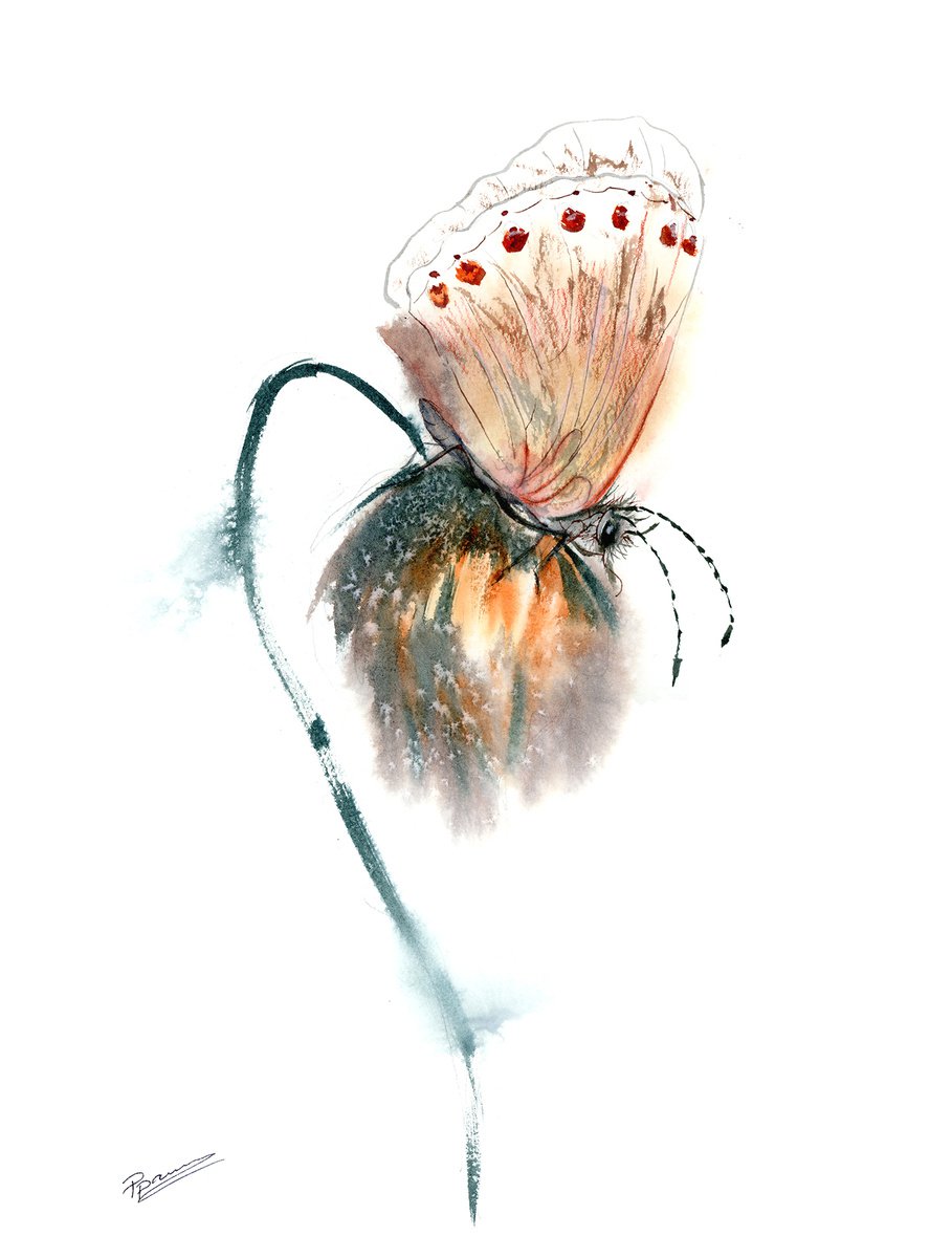 Impressionistic Botanical Watercolour By Olga Tchefranov (Shefranov), 11 X 15", Butterfly On The Flower, Original Artwork