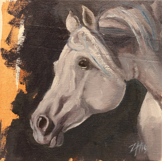 Equine Head Arab White (study 5)