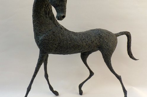 Cover image for 50 Shades of Neigh collection