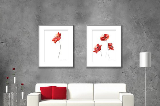 Red Poppies 1