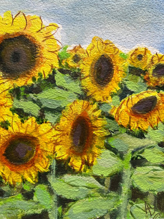 Sunflowers on handmade paper