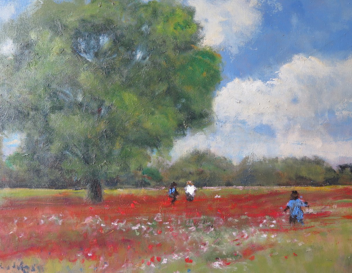 Poppy field near York. by Malcolm Ludvigsen