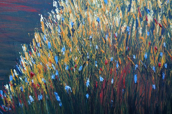Autumn fields