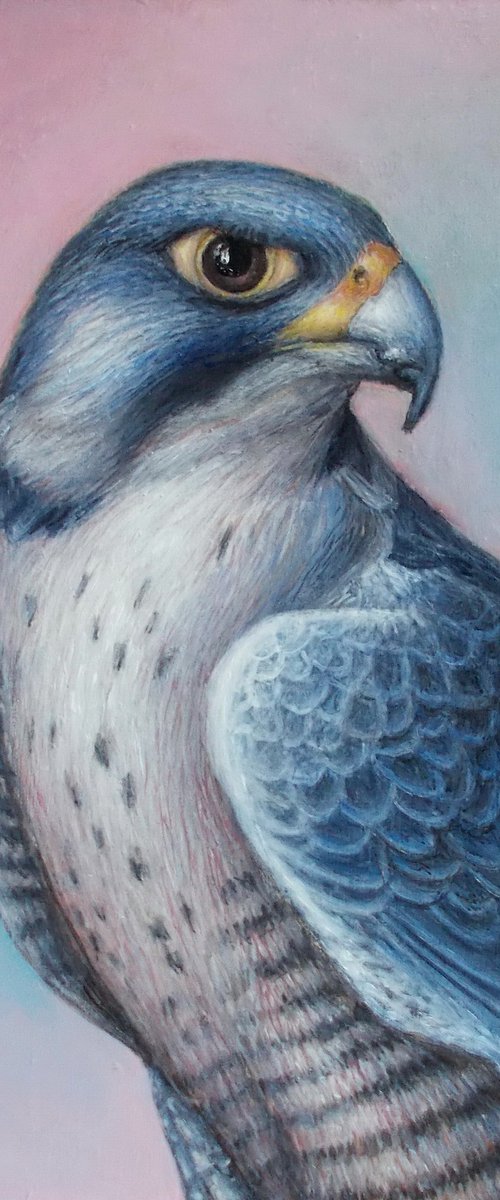 "Falcon" by Tatyana Mironova