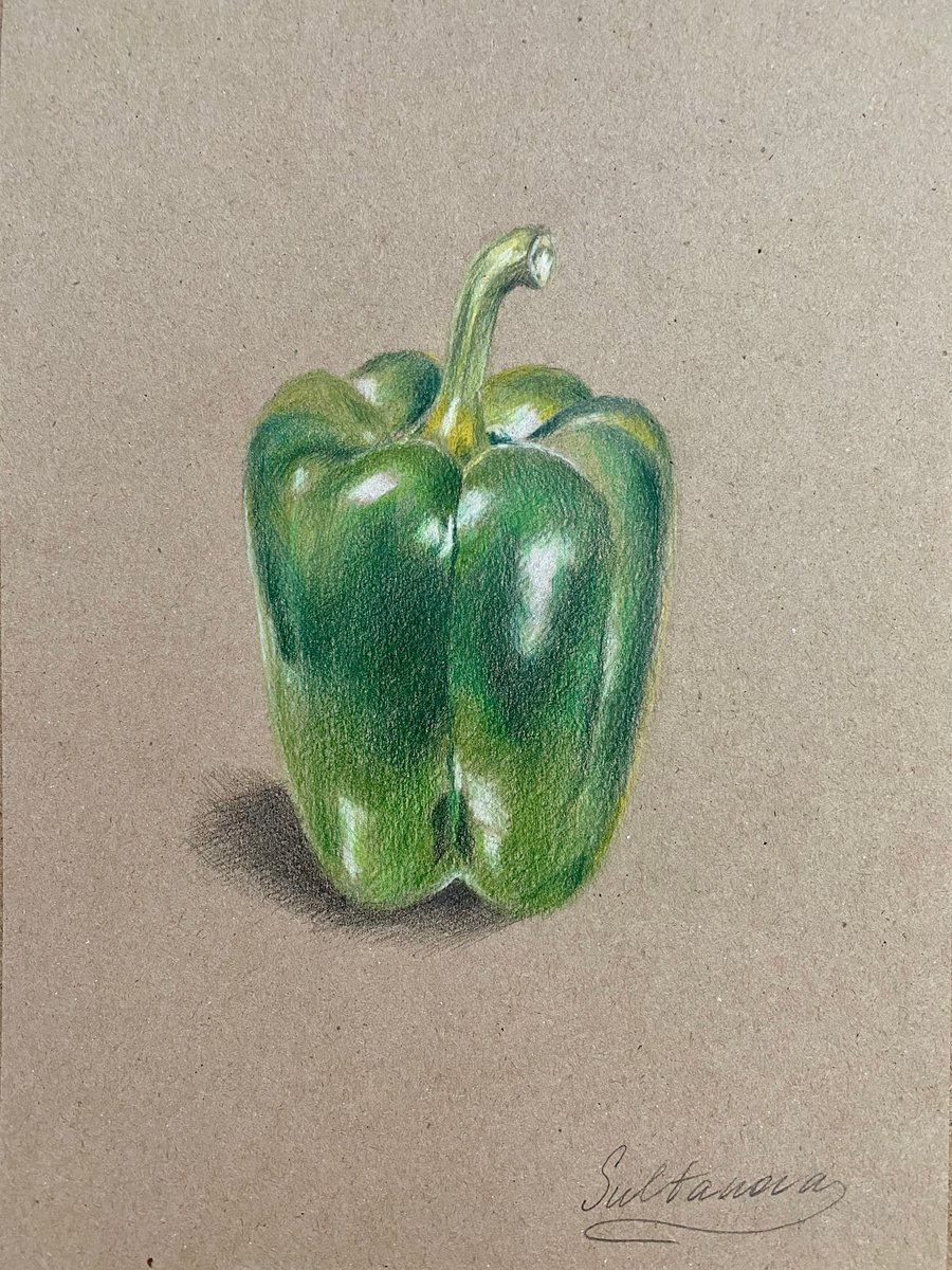 Sweet green pepper by Elvira Sultanova