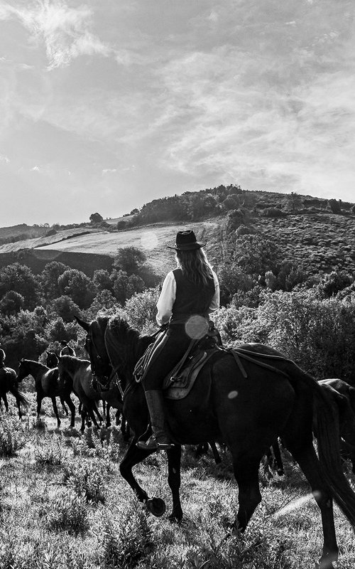 Butteri Of Maremma by Salvatore Matarazzo