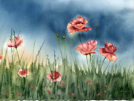 Poppies Landscape - Original Watercolor