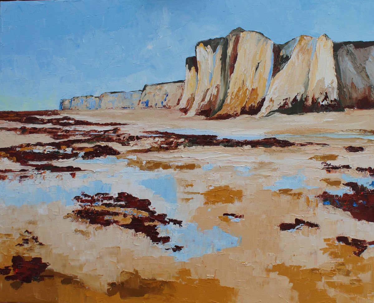 Botany Bay - Towards Dover By Ann Palmer, 32 X 26, Artwork For Sale On Artfinder