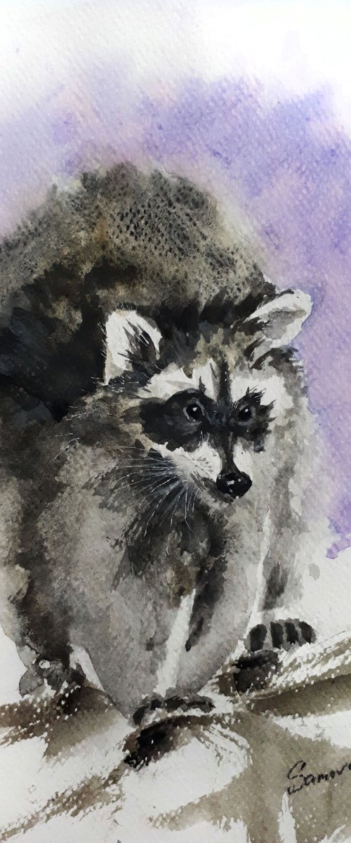 Raccoon I /  ORIGINAL WATERCOLOR  PAINTING by Salana Art Gallery