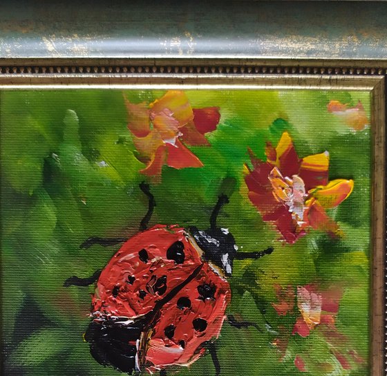 Ladybird, original small framed oil painting, gift idea, art for home